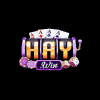 HAYWIN 14COM